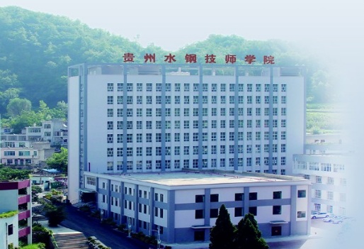 贵州首钢水钢技师学院是公办还是民办学校